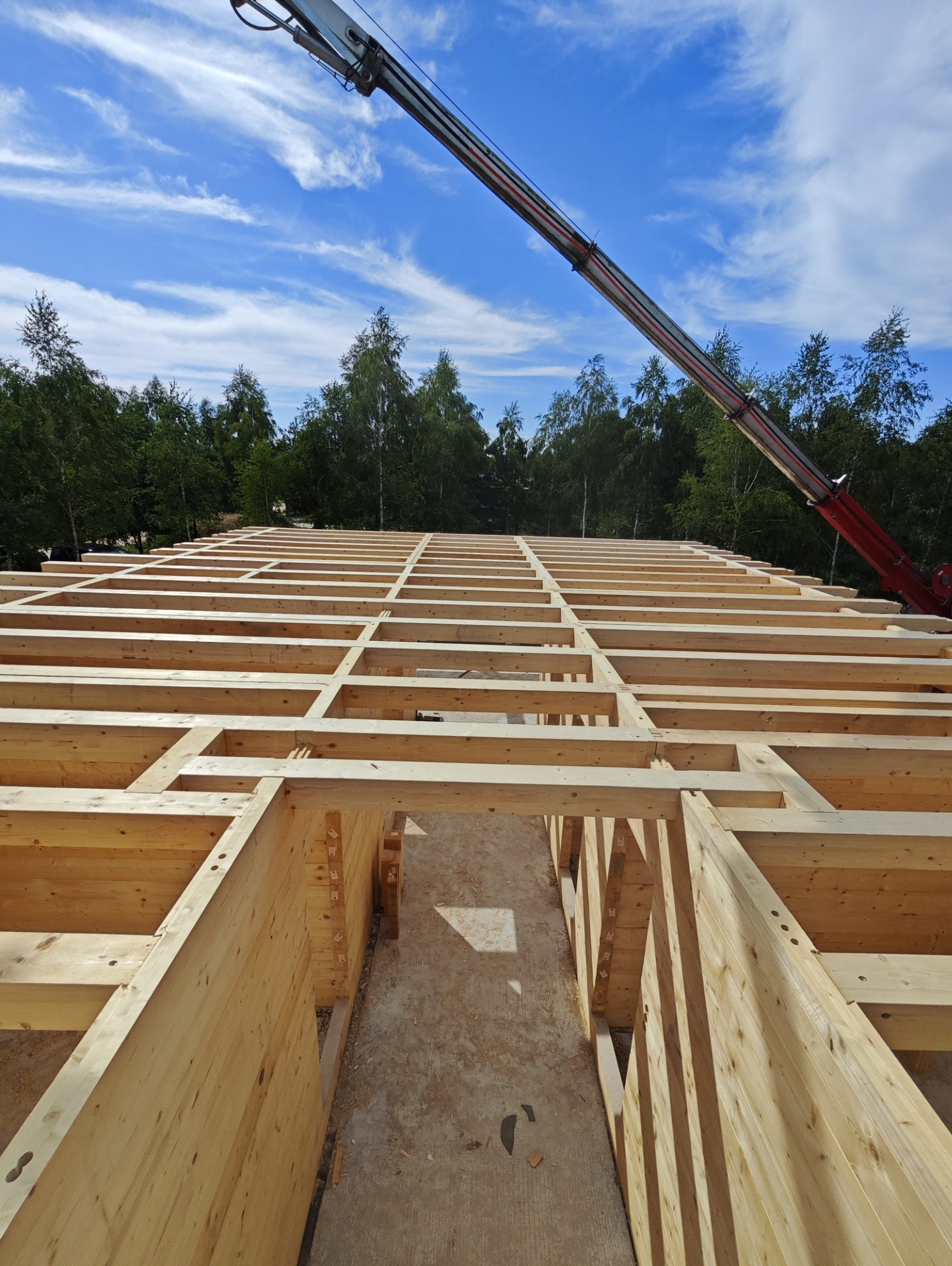 Konstrukcja szkieletowa domu z bali w trakcie budowy, widoczne drewniane belki stropowe i ściany, na zewnątrz las i ramię dźwigu na tle błękitnego nieba.