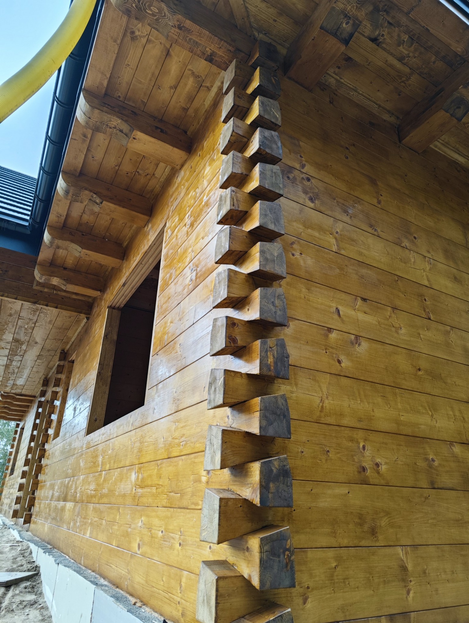 Zewnętrzny róg domu z bali z widocznym połączeniem węgłowym, świeżo zaimpregnowane drewno o złotym odcieniu, fragment okna bez ramy, żółty wąż wentylacyjny u góry.