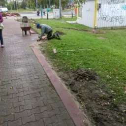 Układanie obrzeży chodnika z czerwonej kostki przez pracownika w odzieży roboczej na kolanach, widoczna taczka, trawa i budka w tle.