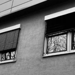 Dwa okna z częściowo opuszczonymi osłonami, odbicie drzew w szybach, monochromatyczne ujęcie elewacji budynku.