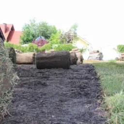 Rozwinięte rolki trawy na przygotowanym podłożu, widoczne domy w tle, częściowo ułożony trawnik z rolki.