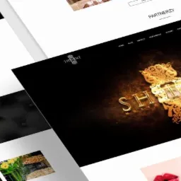 Strony internetowe i system rezerwacji dla sieci klubów Shine