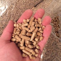 Producent pelletu Tylmanowa 2