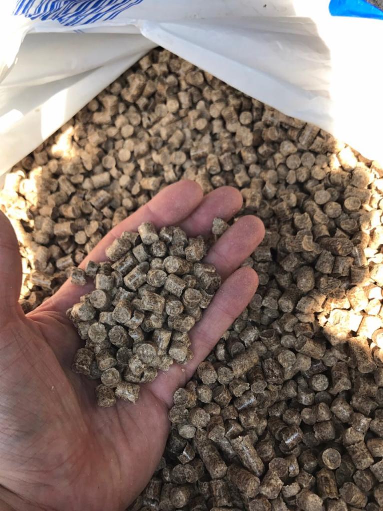 Dłoń nabierająca jasnobrązowy pellet z worka; widoczne charakterystyczne cylindryczne kształty brykietów opałowych.