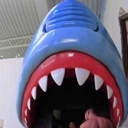 głowa rekina z otwartą paszczą