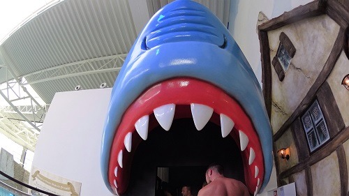 głowa rekina z otwartą paszczą