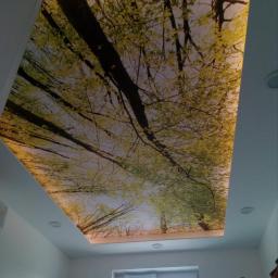 Płyta karton gips Janówka 2