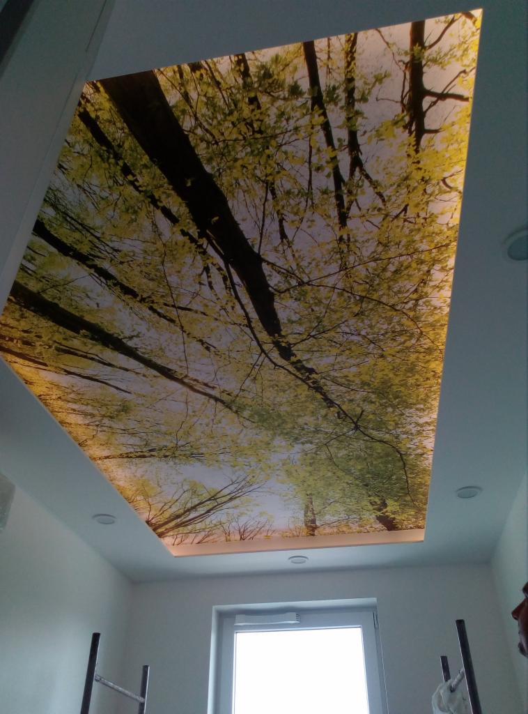 Podwieszany sufit z podświetleniem LED i nadrukiem przedstawiającym koronę drzew z widokiem w górę, w jasnym pomieszczeniu z oknem i drabiną.