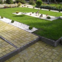 Wycinka drzew Zamość 4