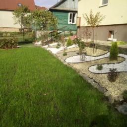 Wycinka drzew Zamość 3