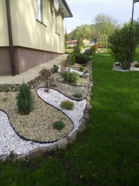Ogród przydomowy z ozdobnymi rabatami wypełnionymi białym i beżowym grysem, obrzeża z kamieni, młode drzewka iglaste i krzewy.