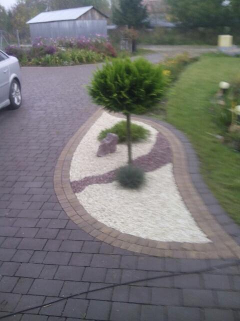 Kula z cyprysa na tle białego i brązowego żwiru, element dekoracyjny ogrodu przy ścieżce z kostki brukowej.