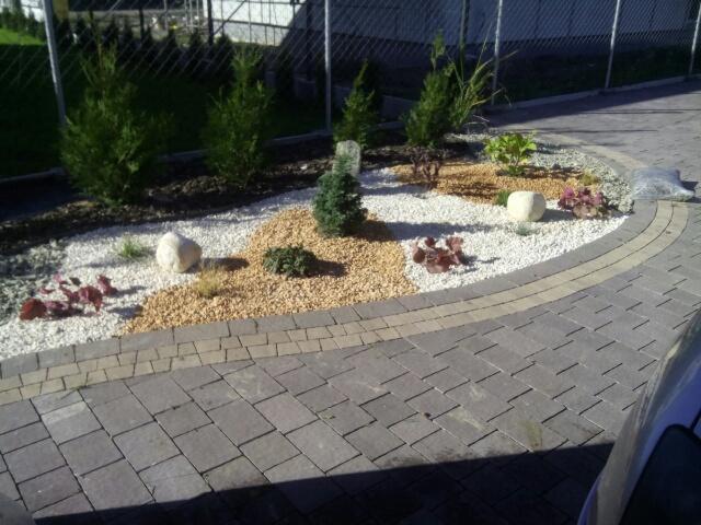 Ogródek skalny z młodymi drzewkami iglastymi, białym i brązowym żwirem, obrzeżem z kostki brukowej, widok z poziomu chodnika.