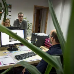 Zespół w biurze, blondynka i mężczyzna w okularach patrzą na monitor z projektem, drugi mężczyzna siedzi przy biurku tyłem, widok zza rośliny doniczkowej.