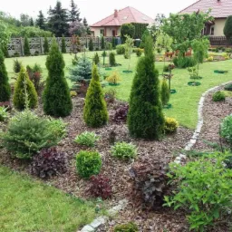 Uporządkowany ogród przydomowy z ozdobnymi drzewami iglastymi, krzewami i korą rozsypaną na rabatach, oddzielony kamiennym obrzeżem od trawnika, w tle domy z czerwonymi dachami i drewnianym...