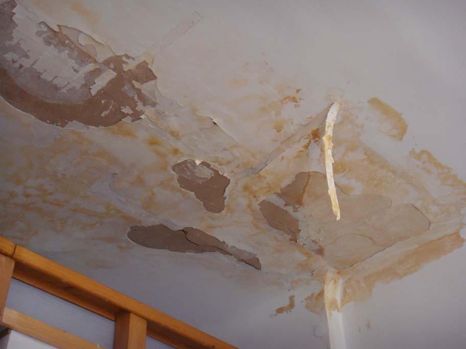 Zacieki i odpadający tynk na suficie, brązowe plamy i uszkodzenia widoczne w narożniku pokoju. Widok z dołu na zniszczony sufit.
