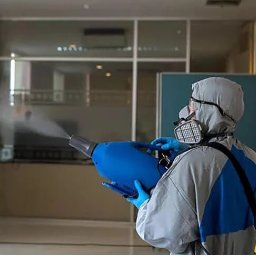 Pluskwy, Odpluskwianie, DEZYNSEKCJA, skuteczna, bezpieczna i dyskretna