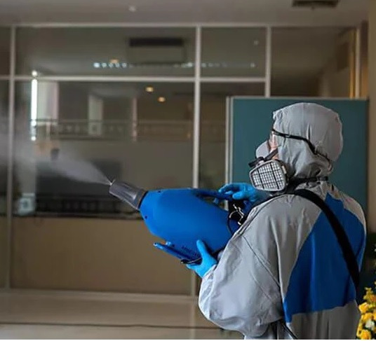 Pluskwy, Odpluskwianie, DEZYNSEKCJA, skuteczna, bezpieczna i dyskretna