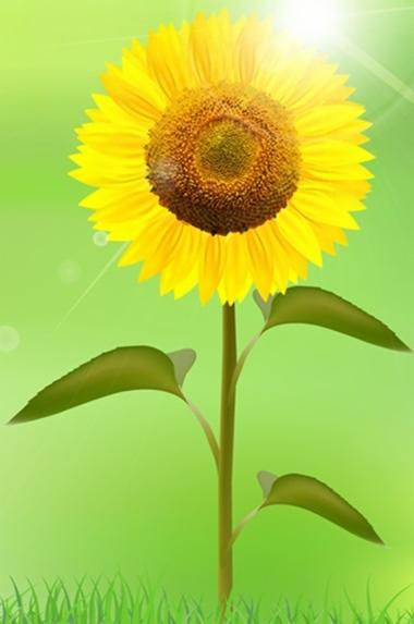 Stylizowany słonecznik z żółtymi płatkami, brązowym środkiem i zielonymi liśćmi na tle jasnej zieleni z efektem świetlnym.