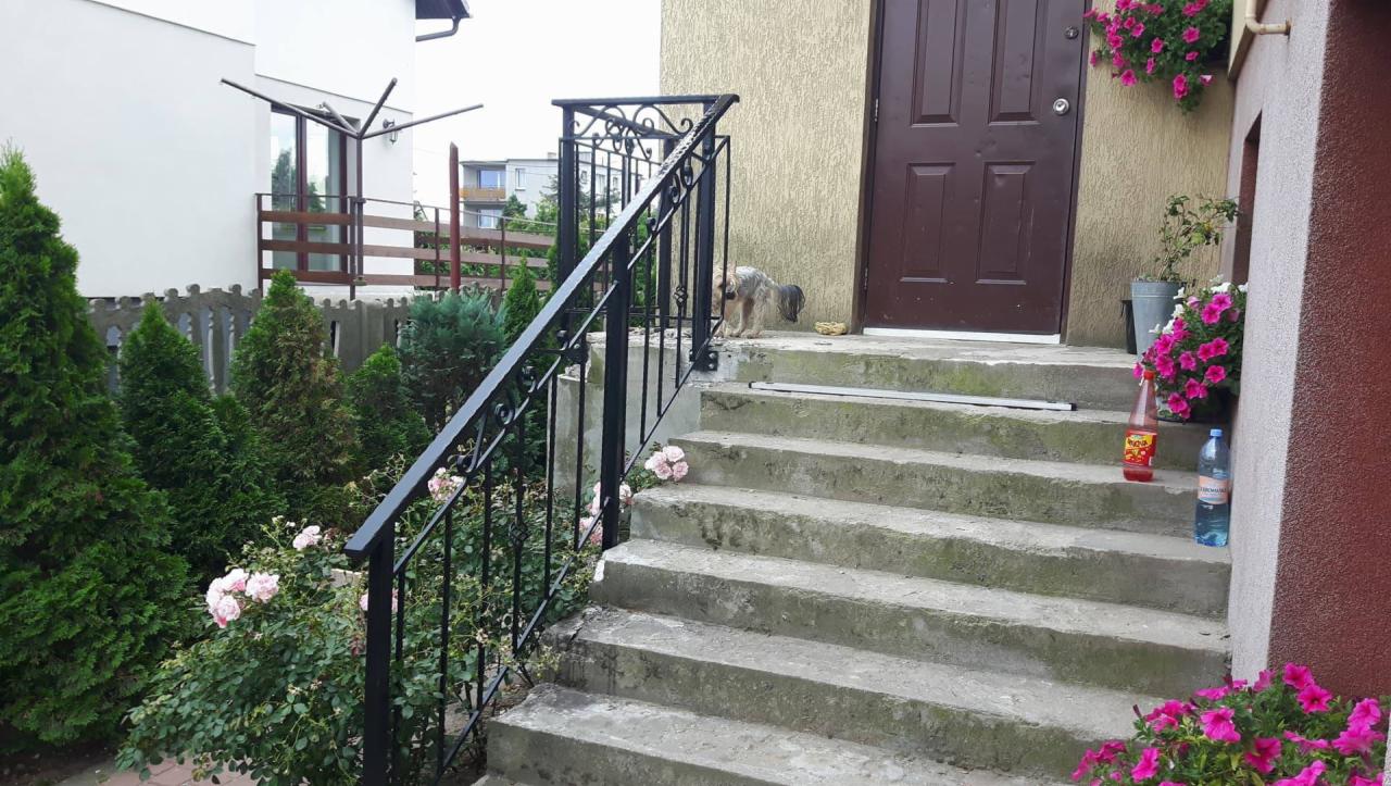 Zewnętrzne betonowe schody z kutą, czarną balustradą, prowadzące do brązowych drzwi wejściowych, z psem rasy Yorkshire Terrier na górnym stopniu, otoczone zielenią i kwiatami w donicach.