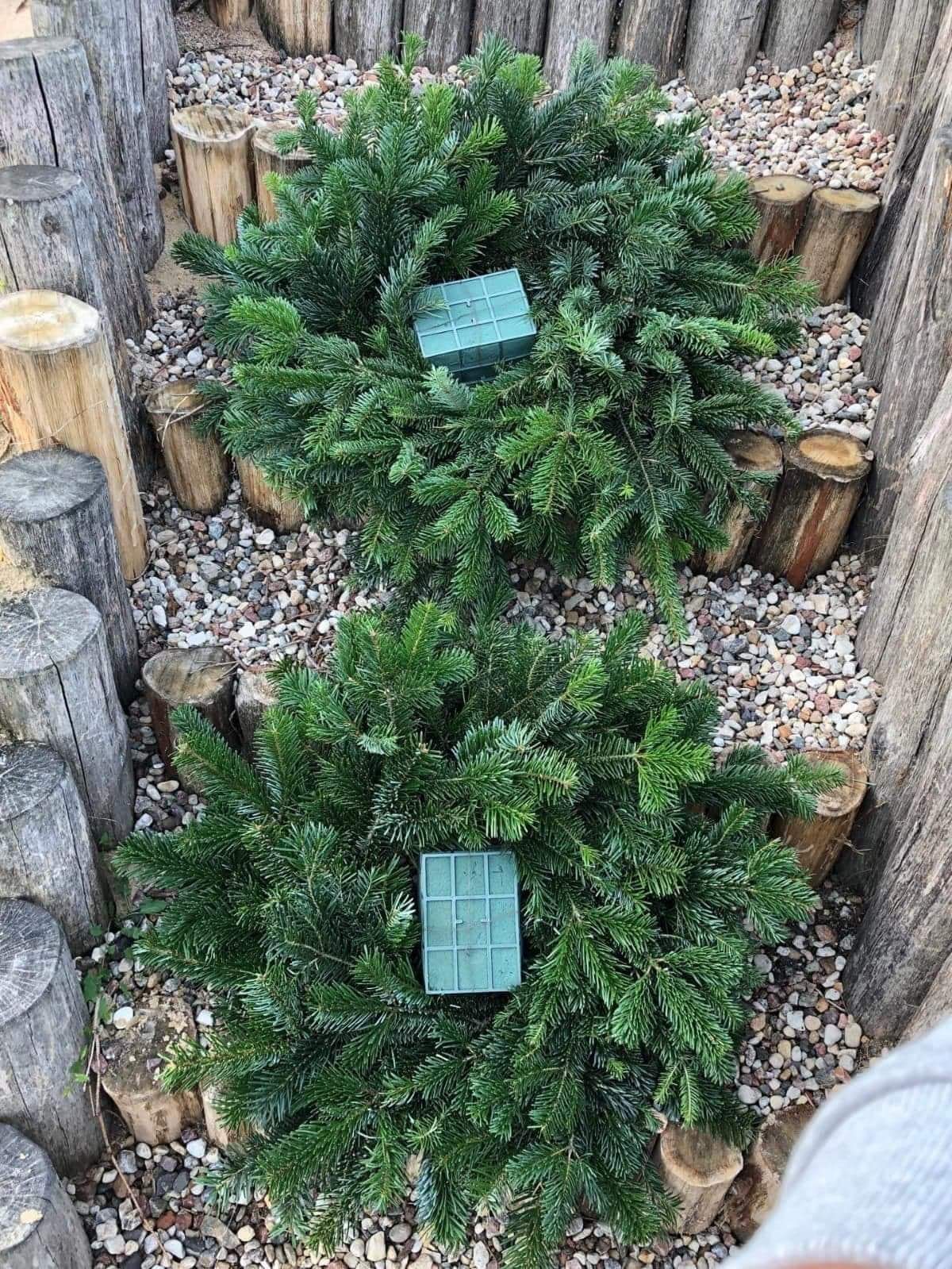 Dwa okrągłe krzewy iglaste z zielonymi gąbkami florystycznymi, otoczone drewnianymi palisadami i żwirem.