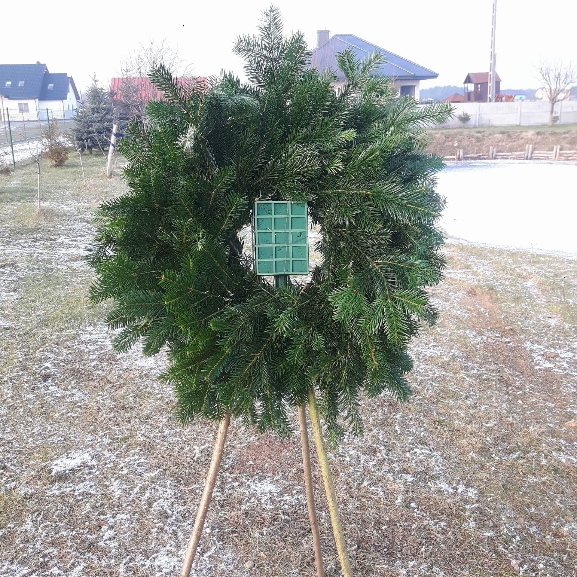 Wieniec z gałązek świerkowych na trzech drewnianych podporach, z zieloną kratownicą w środku, na trawniku z resztkami śniegu, w tle zabudowania jednorodzinne.