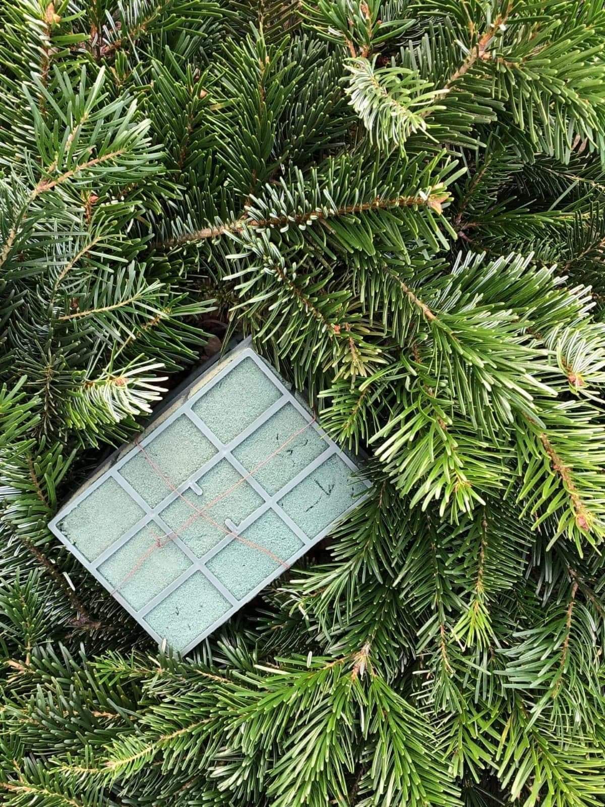 Zielone gałązki iglaste z kostką gąbki florystycznej, przygotowane do tworzenia kompozycji.