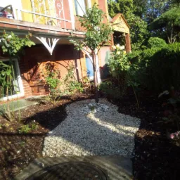 Aranżacja ogrodu przydomowego z młodymi drzewkami, krzewami róż i ścieżką z białego żwiru, widok z poziomu gruntu w słoneczny dzień.