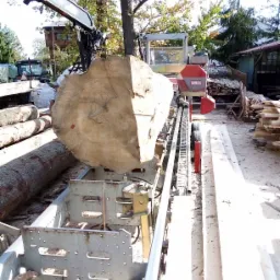 Kłoda drewna umieszczona na ruchomej platformie tartaku, gotowa do przetarcia. Widoczny mechanizm podający i piła taśmowa. W tle stos drewna i budynki gospodarcze.