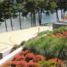 Ujęcie z góry na skarpę z czerwonolistnymi krzewami i trawami ozdobnymi, z widokiem na jezioro i promenadę w tle.