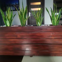 donica zewnętrzna jak i wewnętrzna