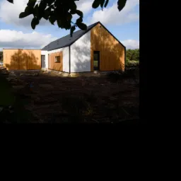 Nowoczesny dom szkieletowy z elementami drewnianej elewacji i białym tynkiem, widoczny zza gałęzi drzewa, w tle las i błękitne niebo z chmurami.