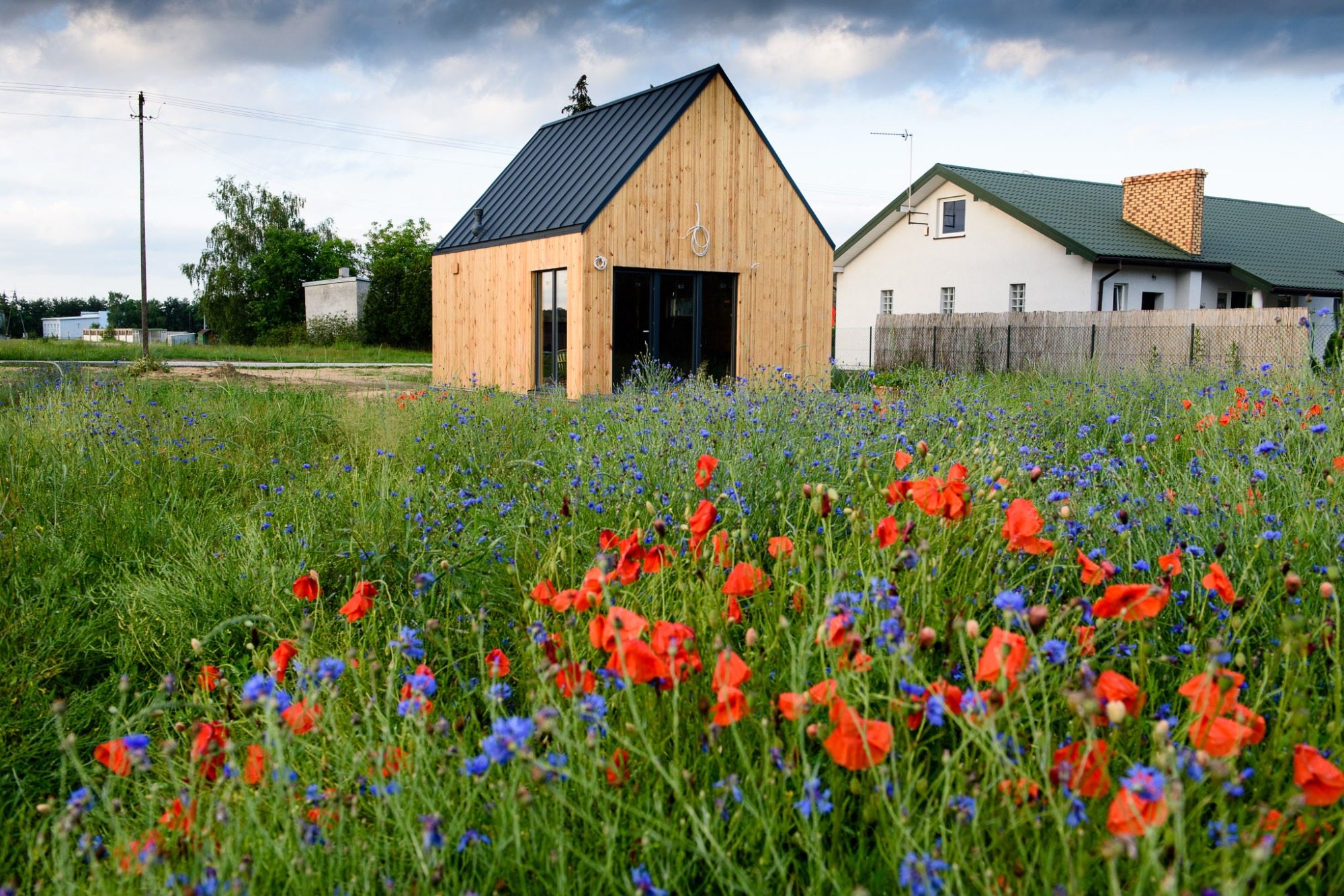 Nowoczesny, drewniany budynek z ciemnym dachem, otoczony łąką z czerwonymi makami i niebieskimi chabrami, w tle biały dom z ceglanym kominem.