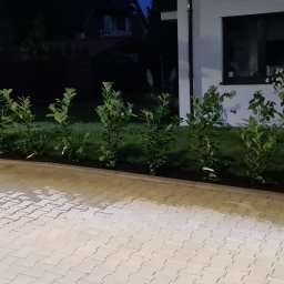 MM Transport i Usługi Serafin Muzyczka - Świeżo posadzone, młode krzewy wzdłuż kostki brukowej przed domem z numerem 39, widoczne trawnik i elementy dekoracyjne na schodach wejściowych, zdjęcie wykonane po zmroku.