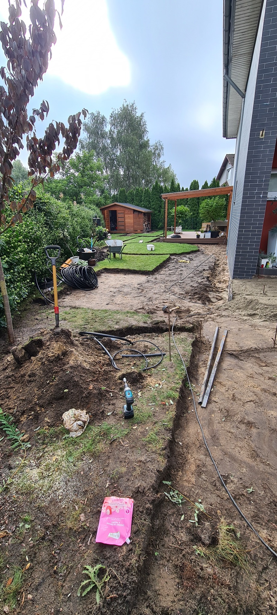 Przygotowanie terenu pod trawnik z rolki: wykopane rowy, częściowo ułożona trawa, narzędzia i materiały budowlane w ogrodzie przy domu.