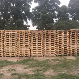 Duży stos drewnianych palet składowanych na zewnątrz, widoczne drzewa w tle, nierówny teren.