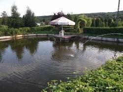 Oczko wodne z małą platformą, parasolem i krzesłem na środku, otoczone zielenią i drzewami.