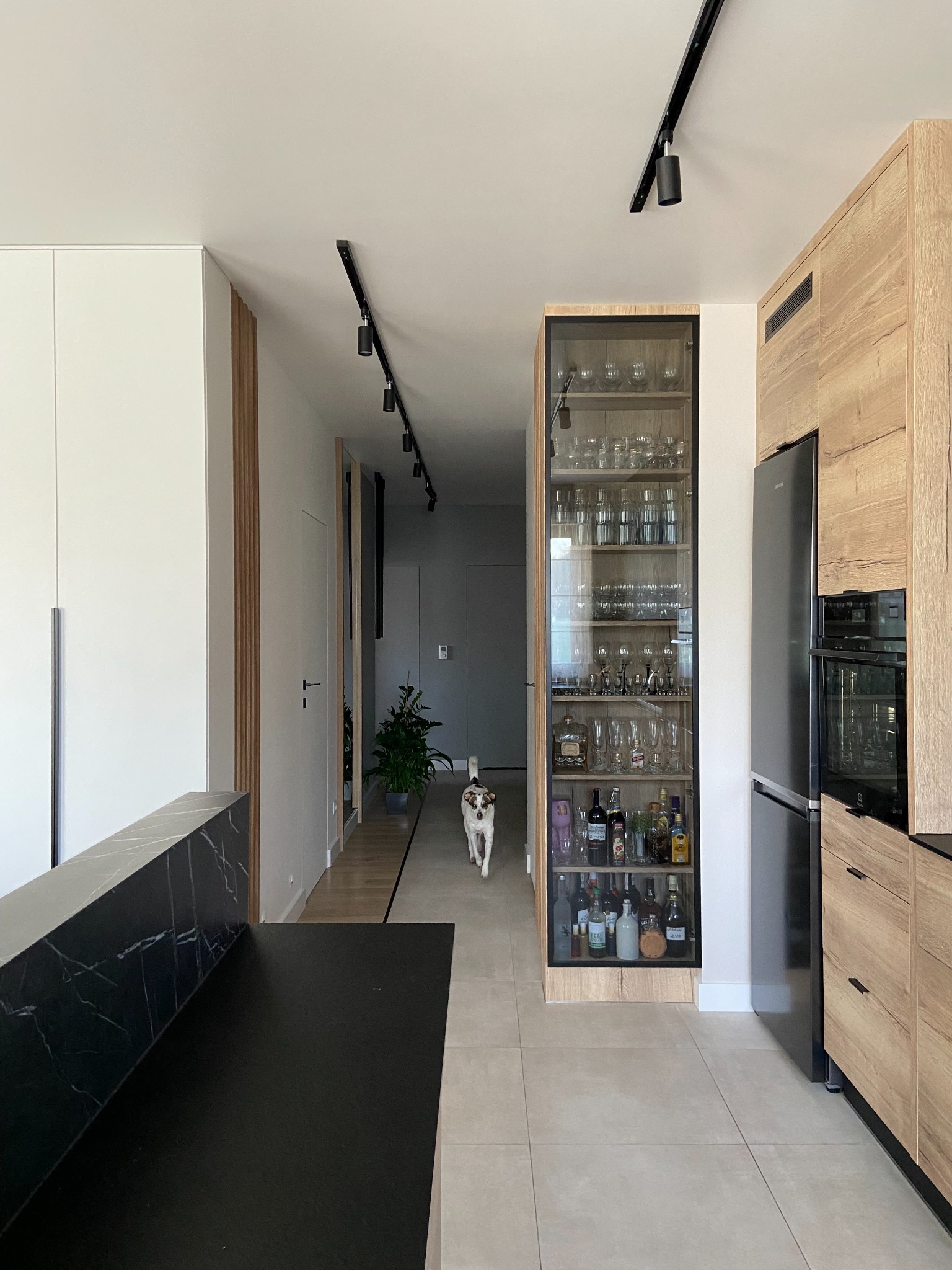 Nowoczesna kuchnia z drewnianymi szafkami, czarnym blatem i przeszkloną witryną z alkoholem; pies rasy Jack Russell Terrier w przejściu.