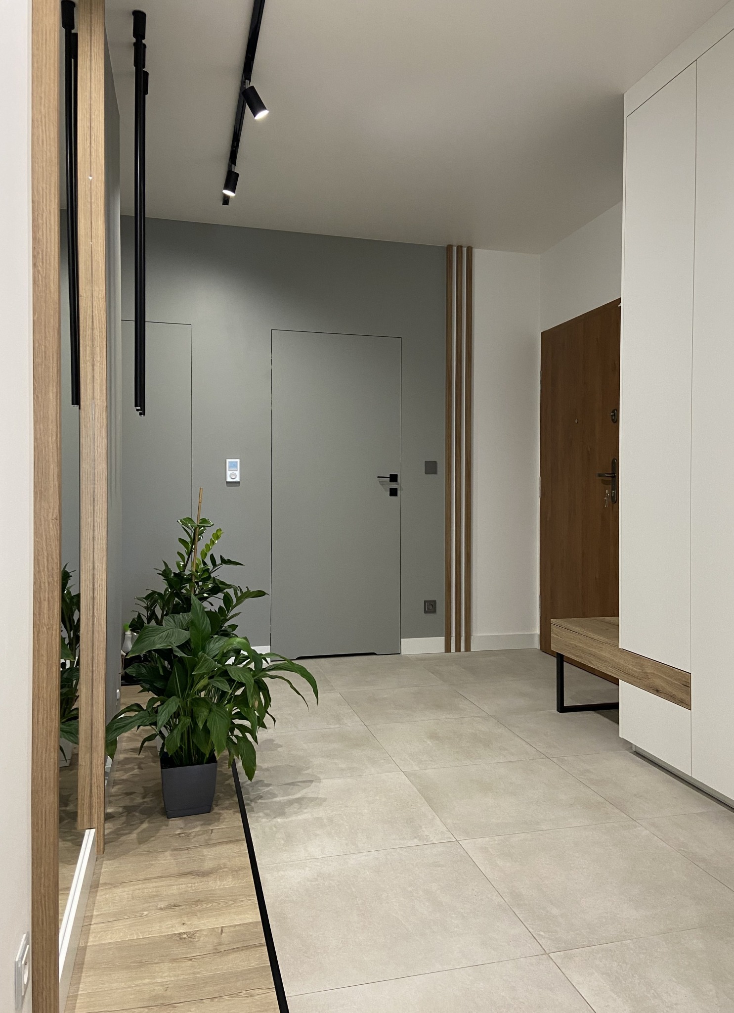 Nowoczesny przedpokój z szarą ścianą, drewnianymi akcentami, oświetleniem szynowym i rośliną doniczkową w minimalistycznej, ciemnej donicy.