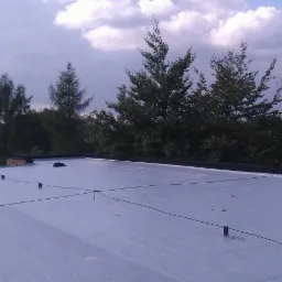 Jasnoszara, płaska powierzchnia dachu z widocznymi elementami mocującymi i czarnymi obrzeżami, na tle zieleni drzew i pochmurnego nieba.