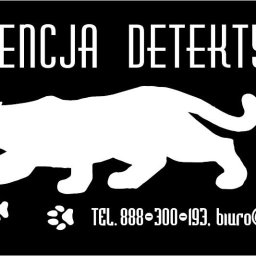 Agencja Detektywistyczna Czarna Pantera - Prywatny Detektyw Lublin