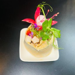 Global Chefs Mariusz Powierża - Elegancko podana tortilla z kurczakiem, udekorowana kwiatami i zielonymi pędami na białym talerzu, na ciemnym tle. Finezyjne danie cateringowe.