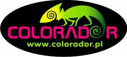 Logo firmy Colorador: stylizowany kameleon w odcieniach zieleni nad różowym napisem 'COLORADOR' i adresem strony www.colorador.pl na czarnym tle.