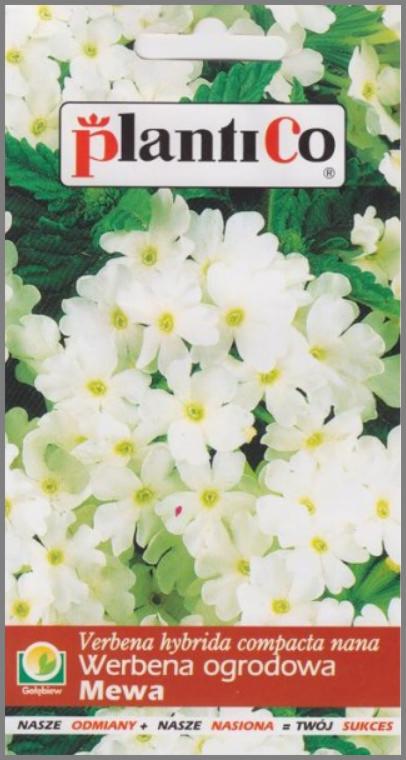 Opakowanie nasion werbeny ogrodowej 'Mewa' z logo Plantico, prezentujące kwitnące białe kwiaty z zielonymi liśćmi.