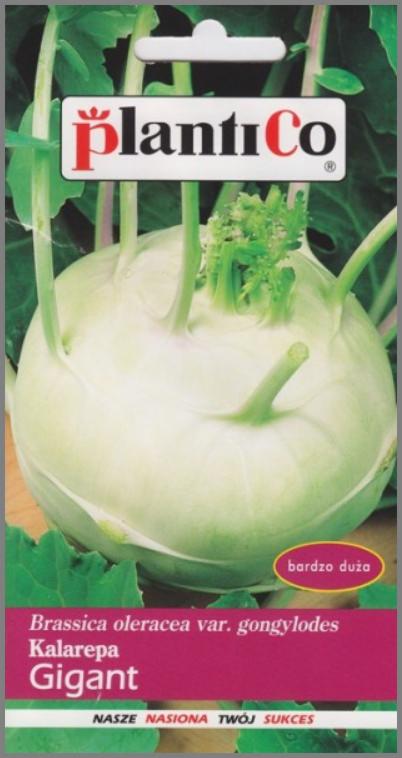 Opakowanie nasion kalarepy Gigant marki Plantico, z widoczną dużą bulwą i zielonymi liśćmi.