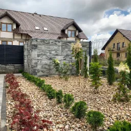 Nowoczesny ogród z kamieniami, niskimi krzewami i hortensjami na tle domu w budowie i ogrodzenia z paneli.