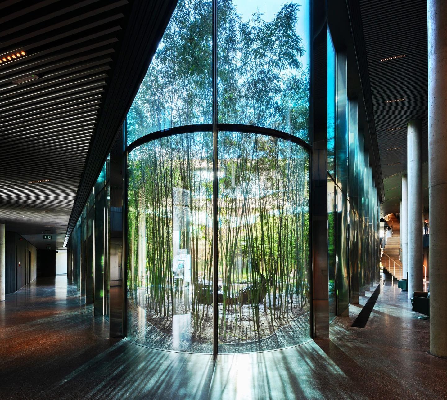 Nowoczesne wnętrze z przeszkleniem w kształcie łuku, za którym rosną bambusy. Długi korytarz z kolumnami i ciemną podłogą odbija światło.