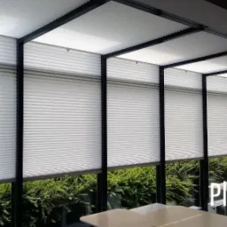 Plisy do Twojego biura lub domu.