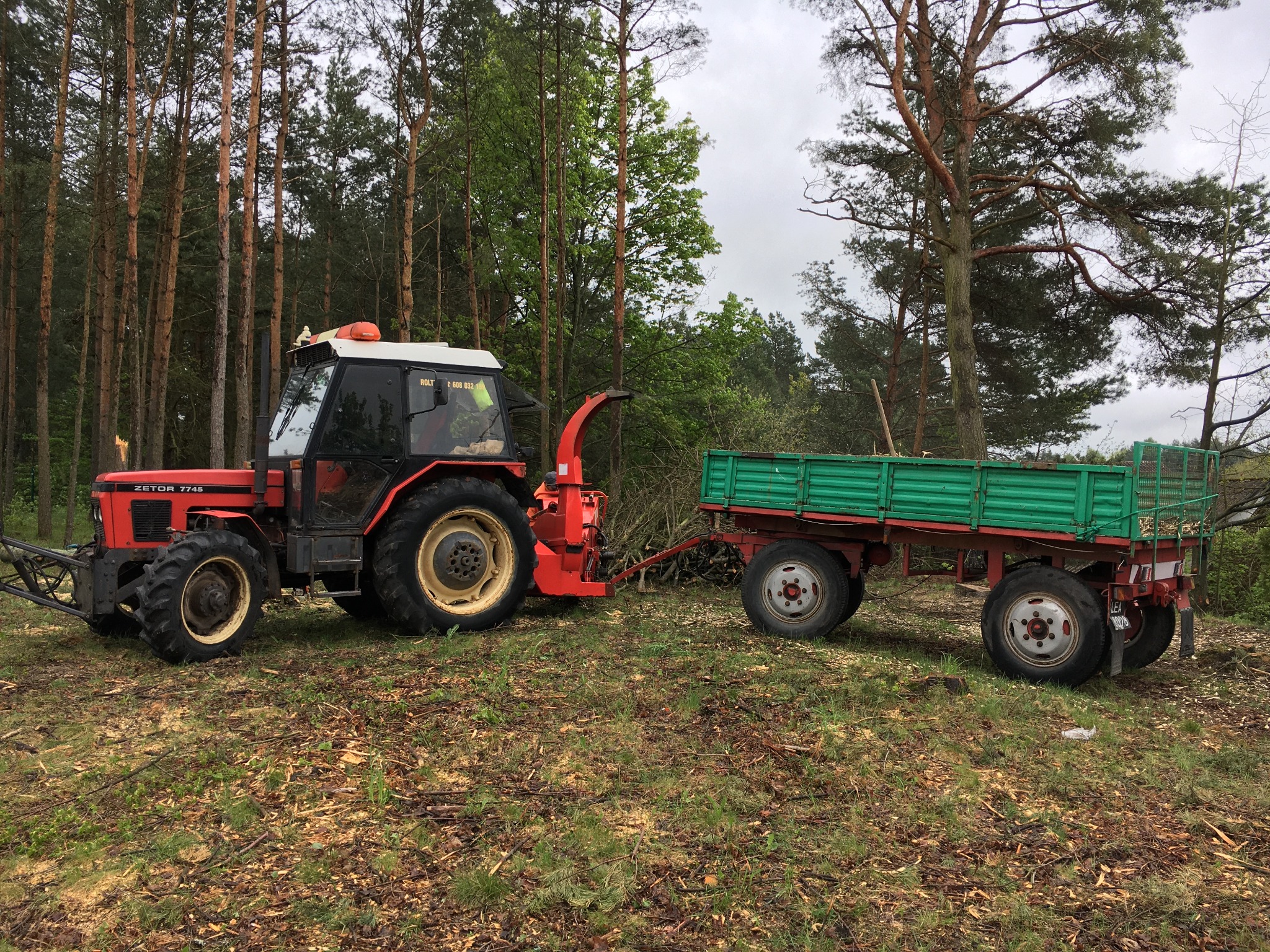 Czerwony traktor Zetor 7745 z podłączoną rozdrabniarką do gałęzi i zieloną przyczepą na terenie leśnym z resztkami po wycince.