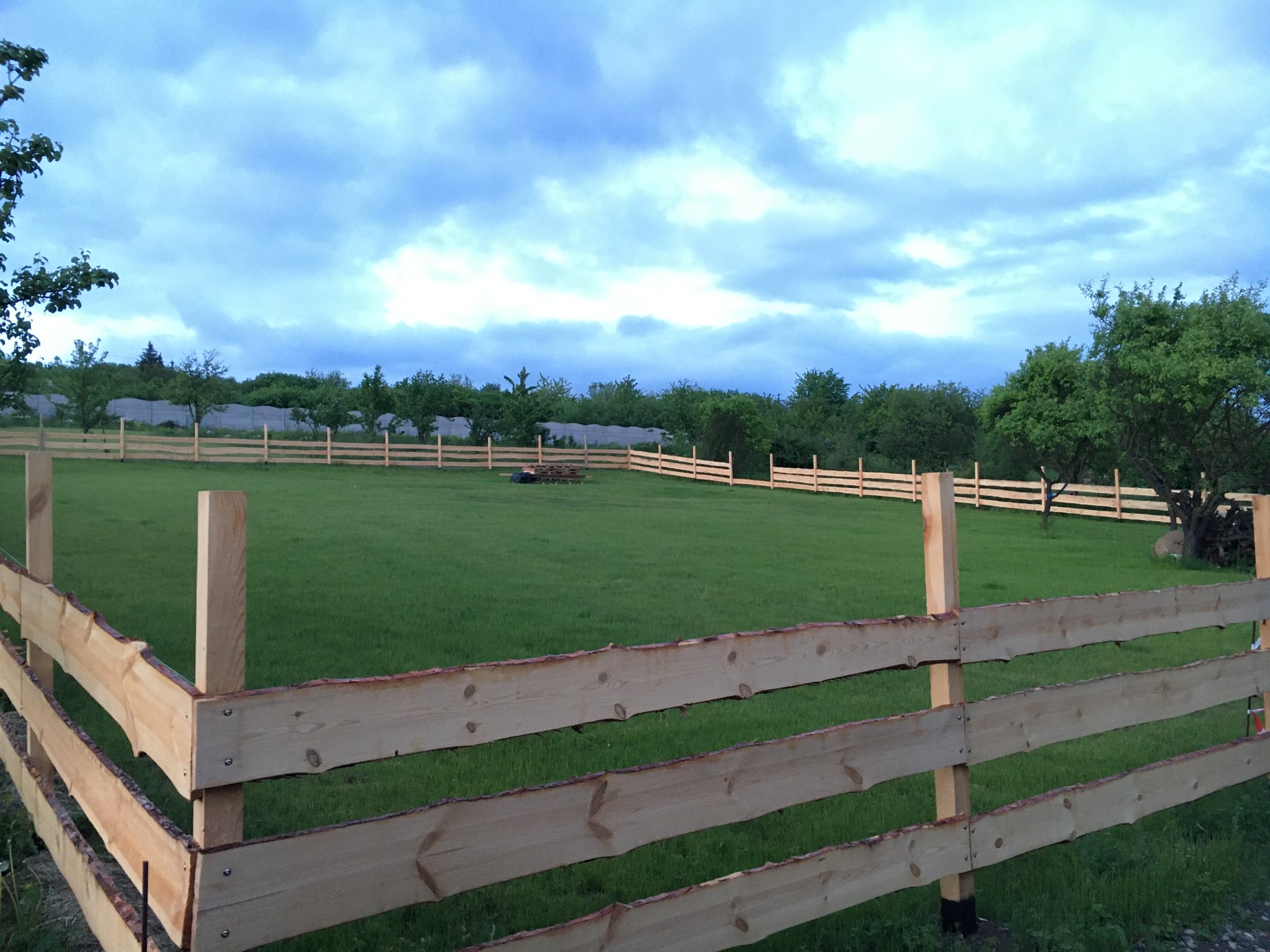 Nowo postawione drewniane ogrodzenie z nieobrobionego drewna otaczające zielony trawnik pod pochmurnym niebem.